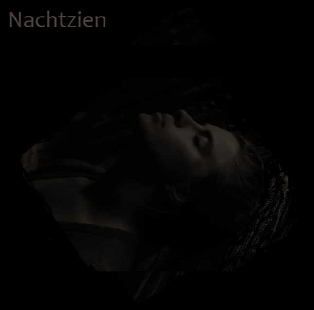 image for Nachtzien