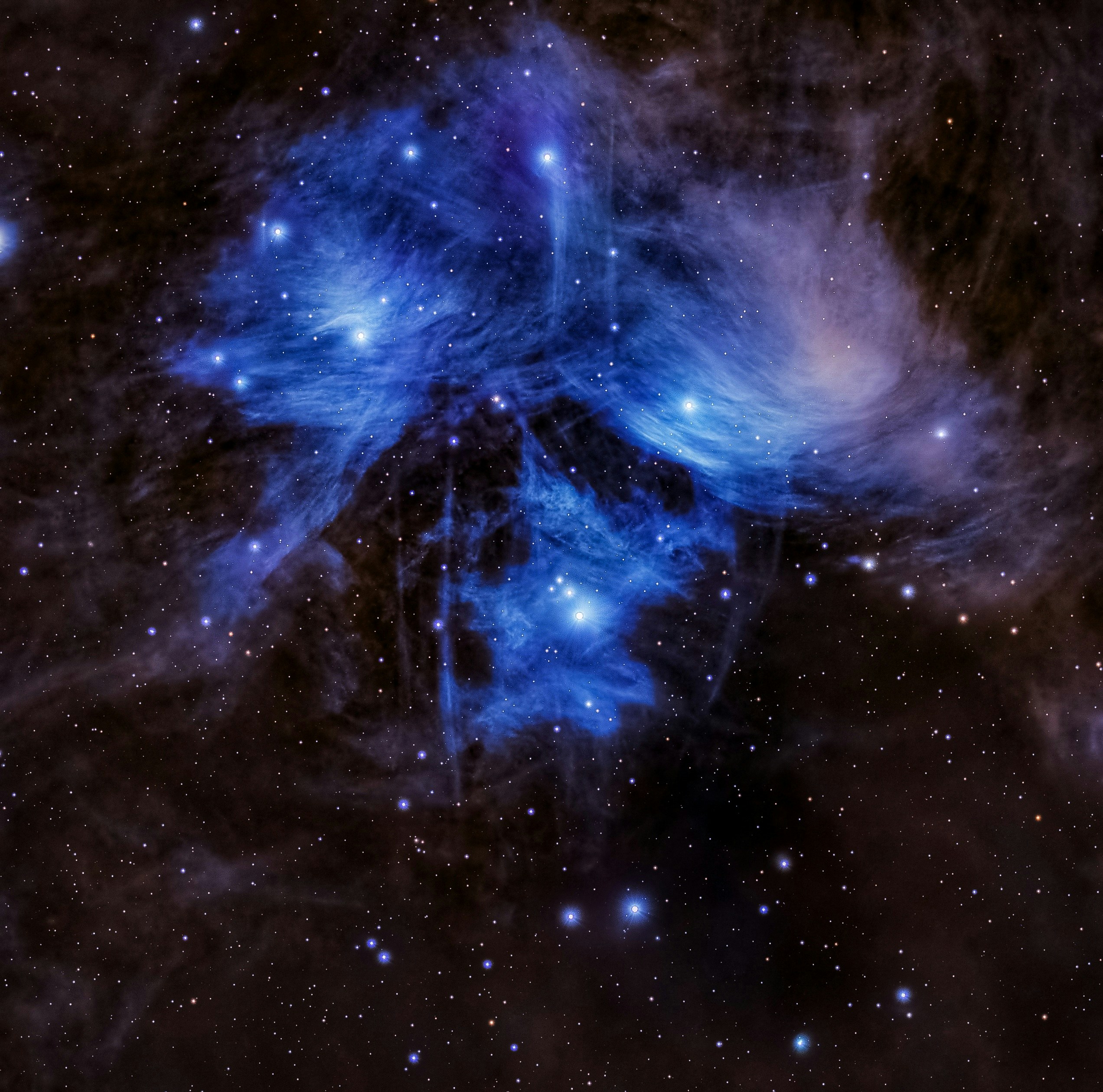 image for Somnium al Salaam - Droom van Vrede