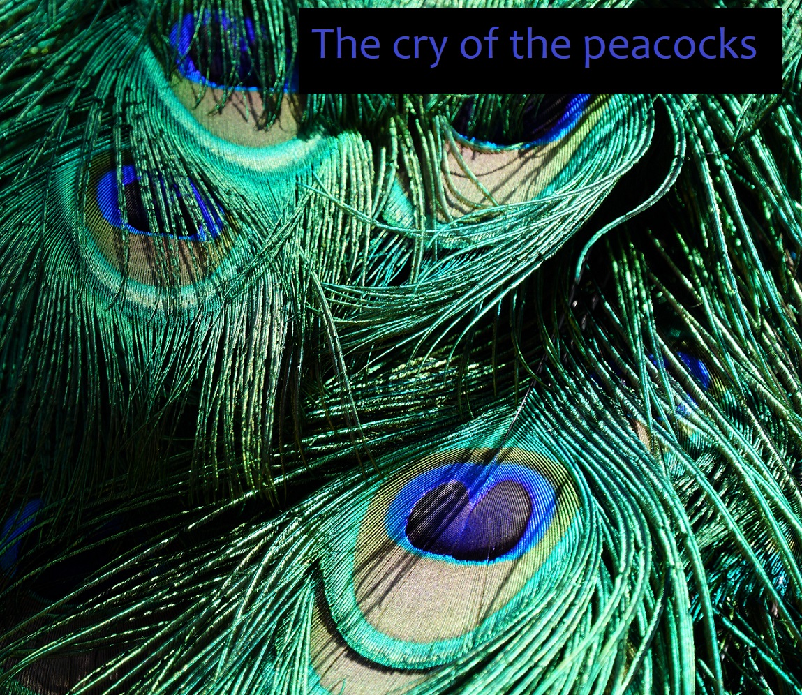 image for The cry of the peacocks