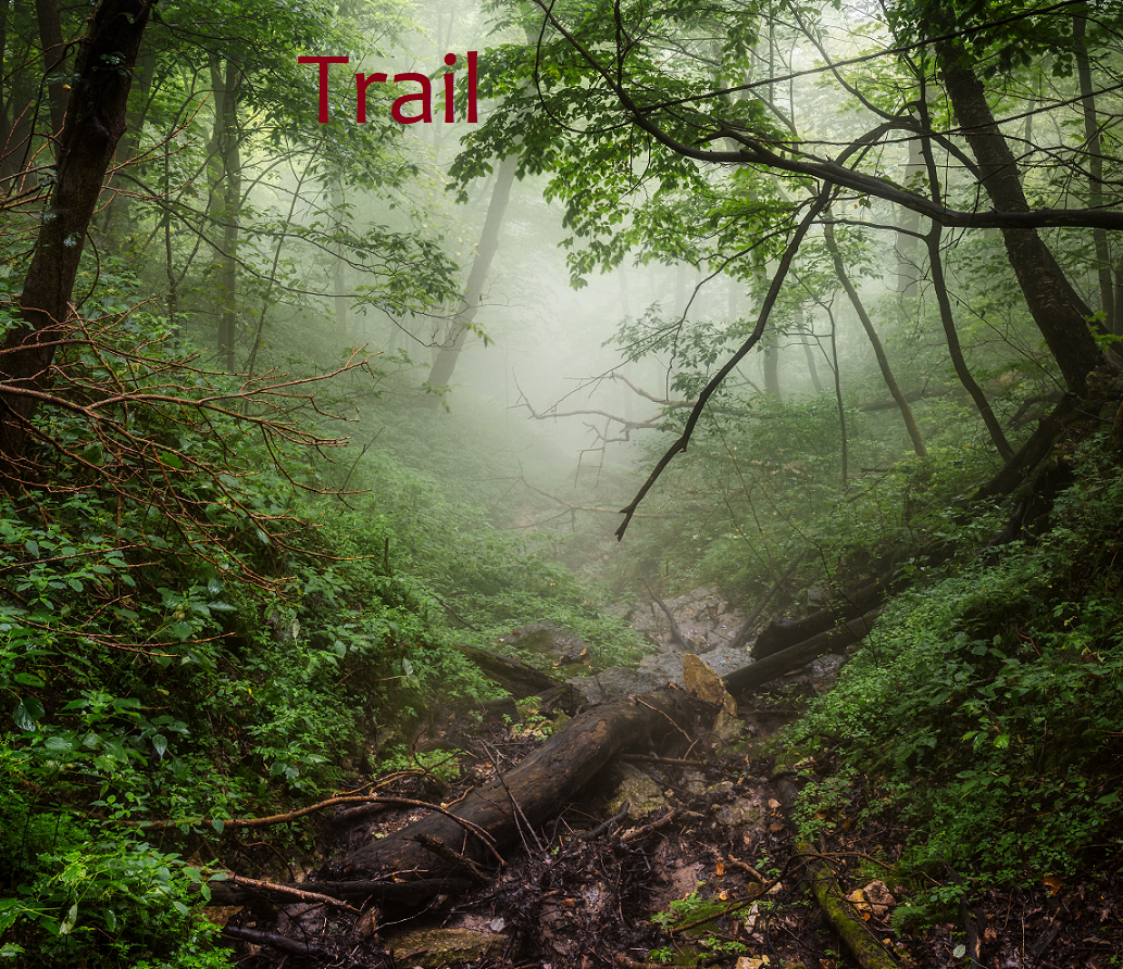 image for Trail
